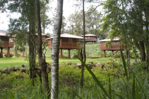 Quinta Das Eiras Santo Antonio da Serra المظهر الخارجي الصورة