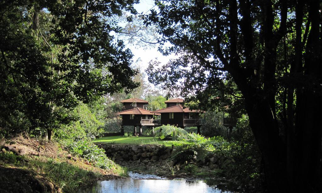 Quinta Das Eiras Santo Antonio da Serra المظهر الخارجي الصورة