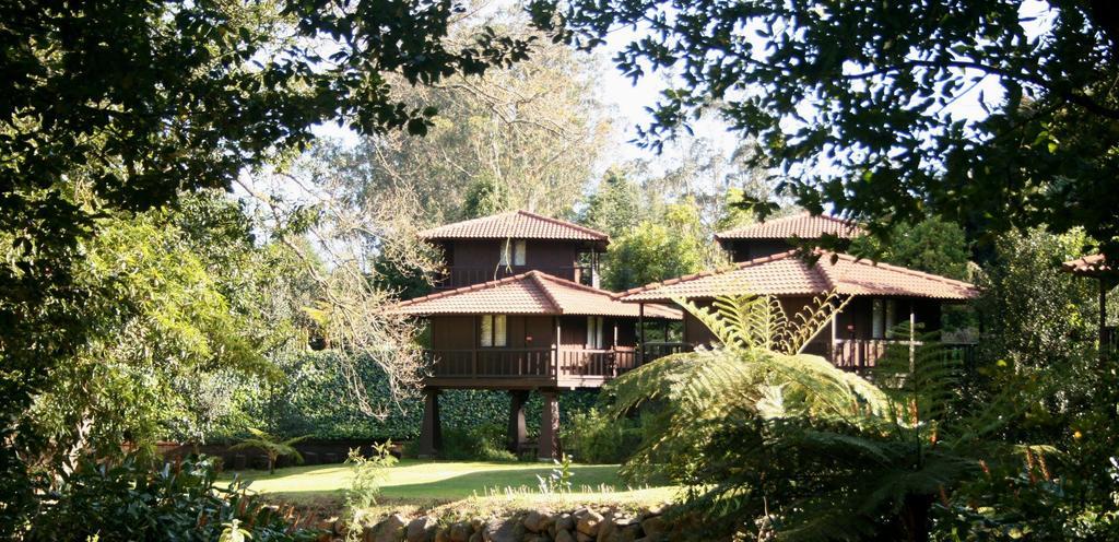 Quinta Das Eiras Santo Antonio da Serra المظهر الخارجي الصورة