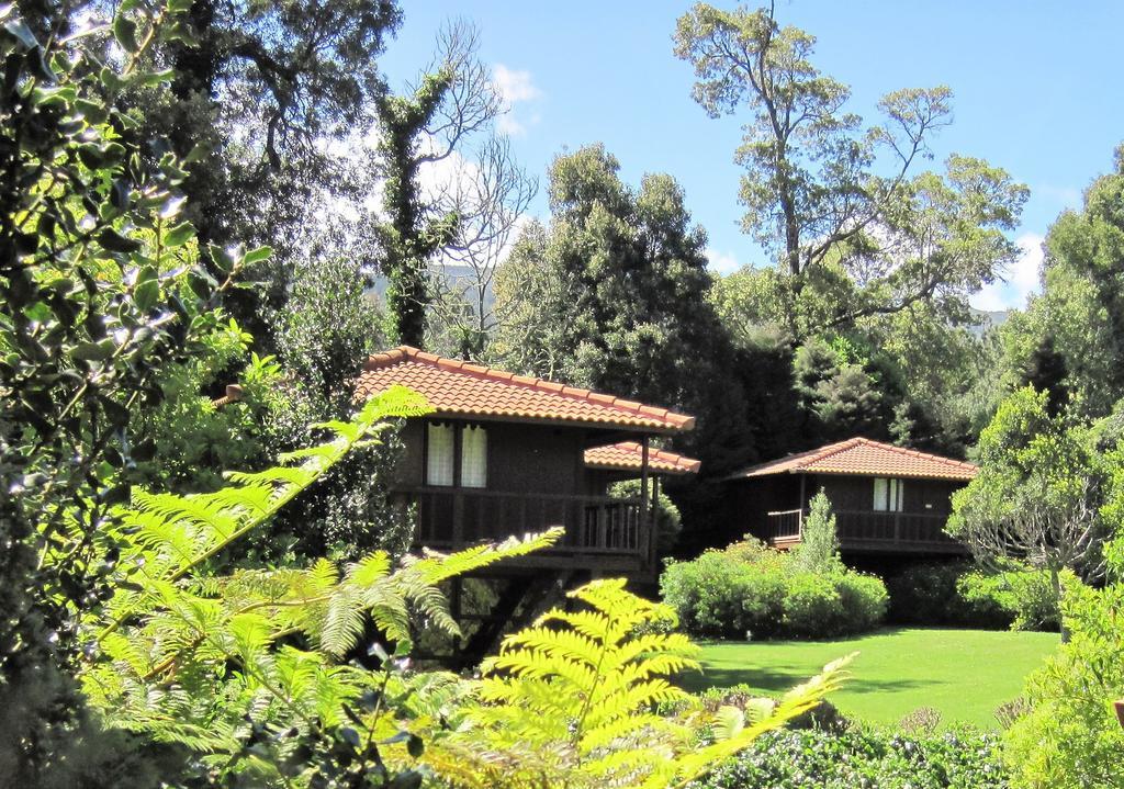 Santo Antonio da Serra Quinta Das Eiras المظهر الخارجي الصورة