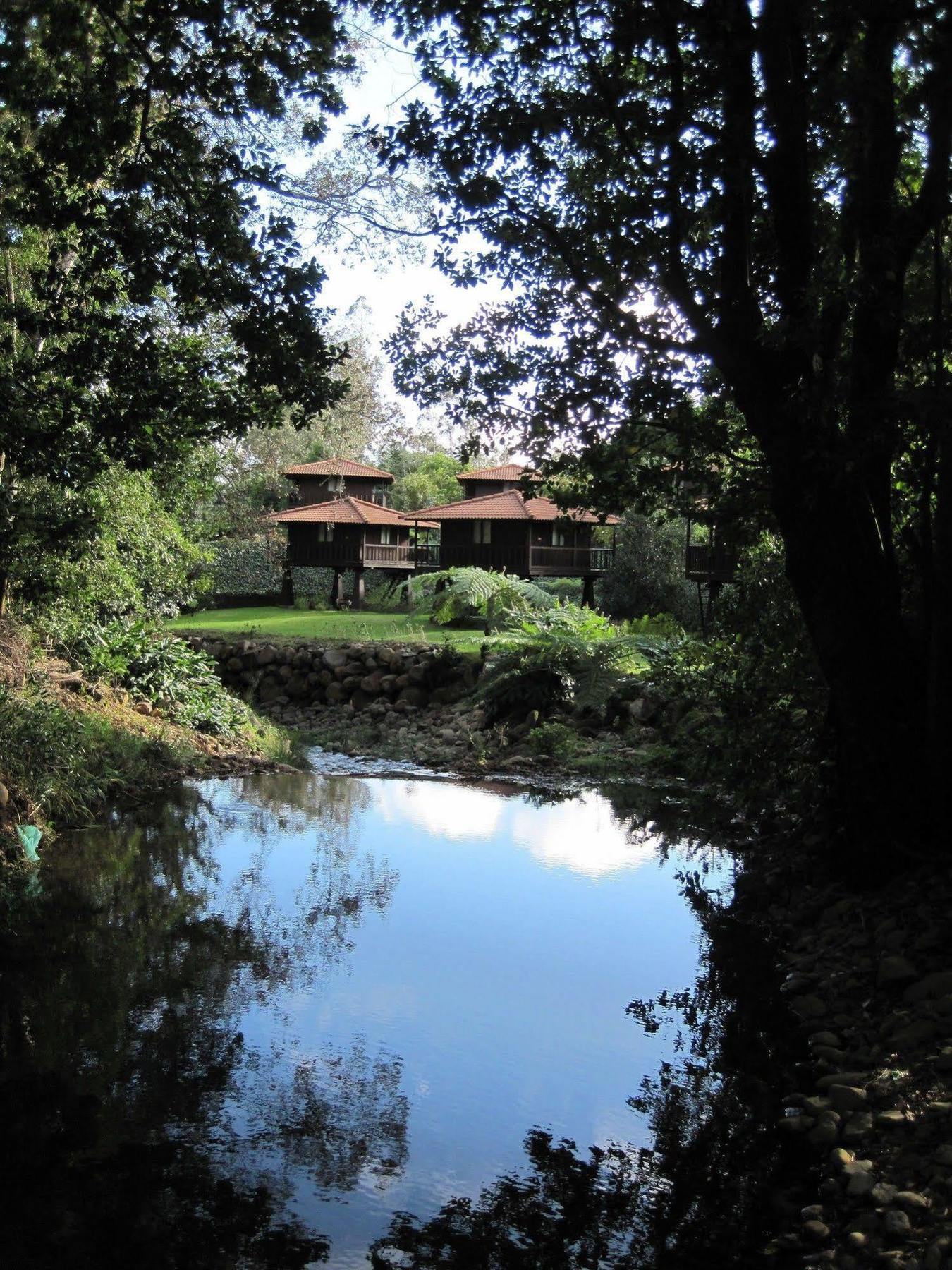 Quinta Das Eiras Santo Antonio da Serra المظهر الخارجي الصورة