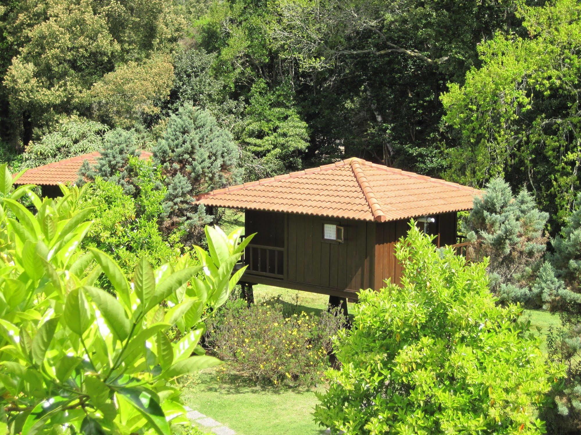 Quinta Das Eiras Santo Antonio da Serra المظهر الخارجي الصورة