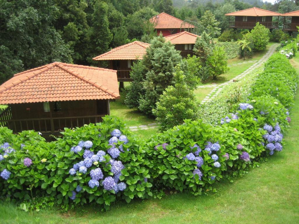 Quinta Das Eiras Santo Antonio da Serra المظهر الخارجي الصورة